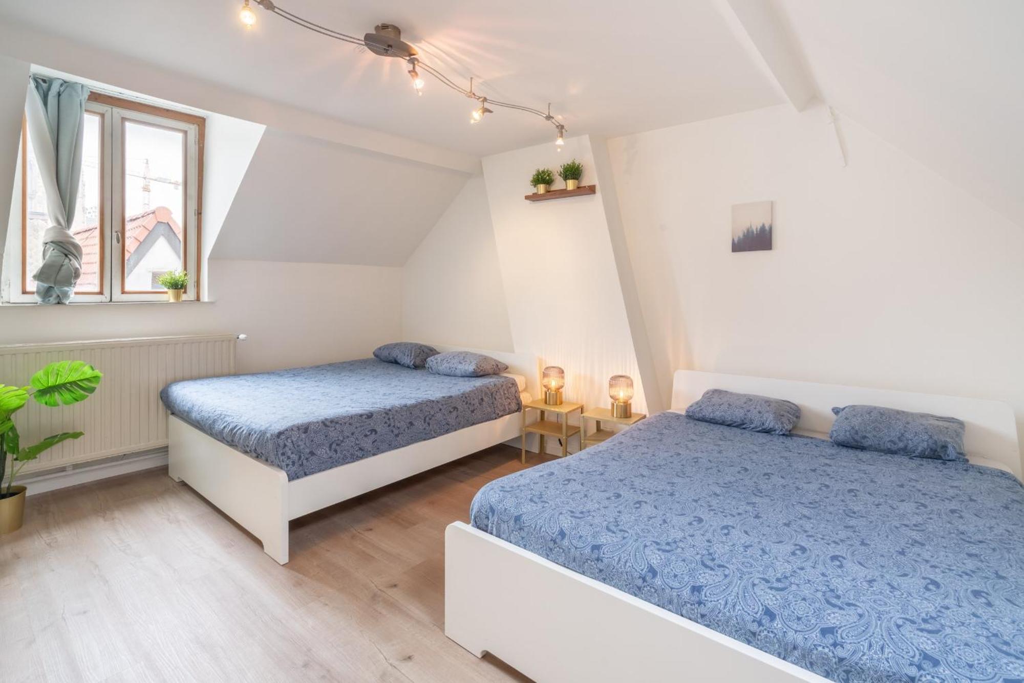 Authentic Apartments In The Center Of אנטוורפן מראה חיצוני תמונה